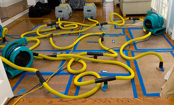Professional Basement Flood Cleanup technician working in Gray, TN